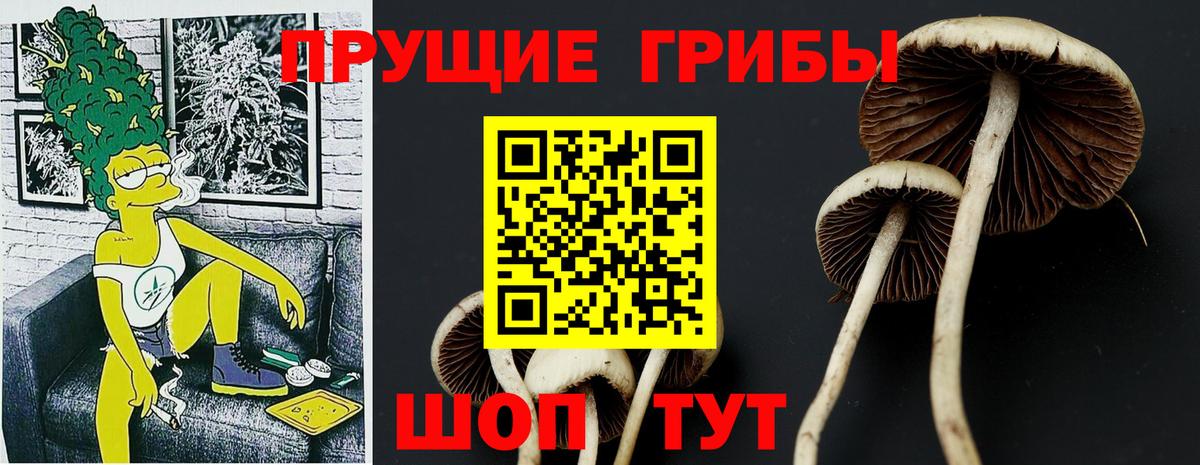 Галлюциногенные грибы Magic Shrooms  Вход с VPN  Туапсе 