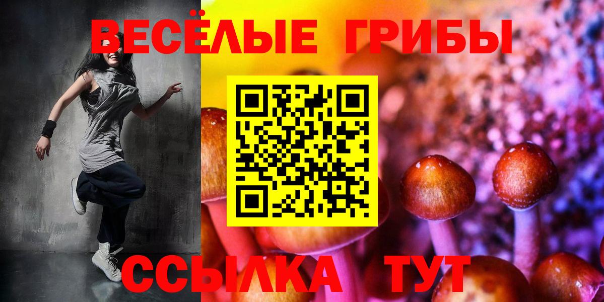 Галлюциногенные грибы Cubensis Туапсе